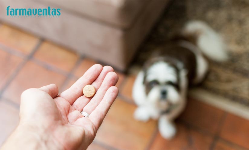 Los farmacéuticos piden que se cumpla la ley que les habilita para ser los únicos en la dispensación de los medicamentos veterinarios.